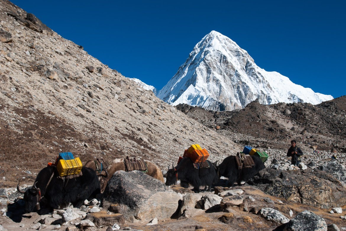Transport zaopatrzenia na trasie Lobuche - Gorak Shep