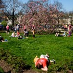 Odpoczynek niedaleko czeskiej filharmonii