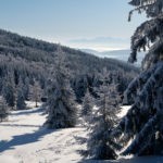 Bajkowy zimowy krajobraz