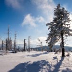 Tutaj wczoraj był wydeptany szlak