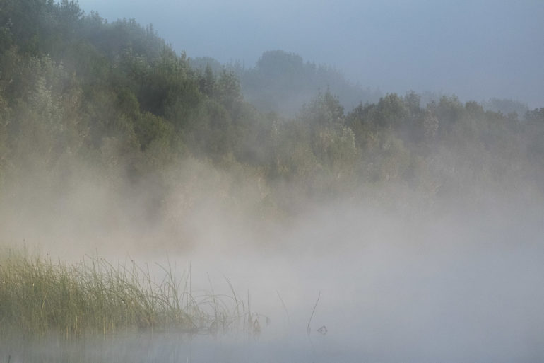 Poranne mgły i nawoływania ptaków