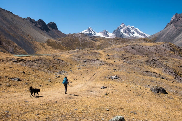 Spacer z psem w kierunku przełęczy Campa 5100 m n.p.m.