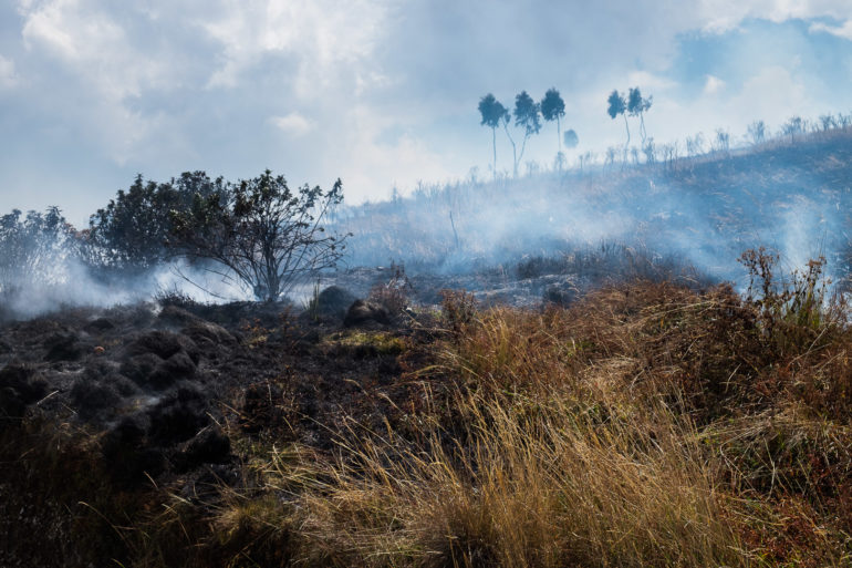 Miejscowi podpalają trawy w wielu miejscach i często można zobaczyć "żywy ogień"
