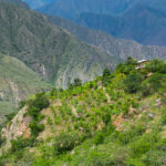 Znów zjeżdżamy bardzo nisko do doliny rzeki Marañón, długo czekaliśmy na taką zieleń