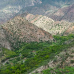 Zielono piaskowe wzgórza