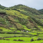 Okolice lasów chmurnych, czyli zielono, soczyście i deszczowo