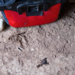 Nasze zoo. Wspomnienie skorpiona, podszedł za blisko.