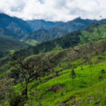 Zielone wzgórza wokół Valladolid