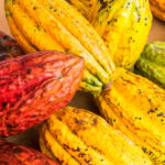 Ekwador jest czołowym producentem wysokiej jakości kakao. To na innej części kiermaszu