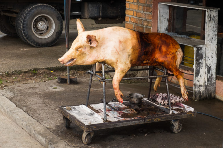 Świnka opalana gazem (horneado), charakterystyczne danie w regionie Cuenca. Miejscowi mówią, że zdrowiusieńkie, bo ogień zabija zarazki. Świnka bez zarazków zdrowsza, ale już wcześniej zdecydowano o jej marnym losie