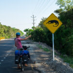 Uwaga, ssak z podwiniętym ogonem